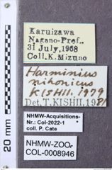 Etiketten zu Harminius nihonicus (NHMW-ZOO-COL-0008946)